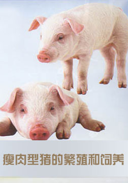 [教育培训]瘦肉型猪的繁殖和饲养