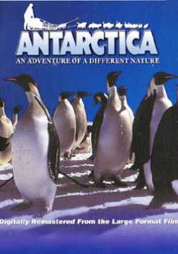 IMAX南极洲：不一样的大自然探险之旅