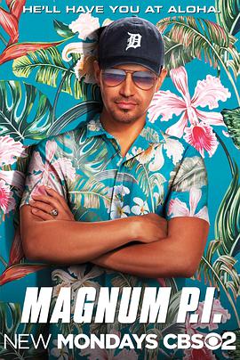 新版夏威夷神探第一季
